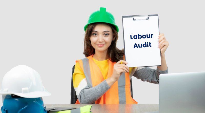 Labour Audit